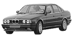 BMW E34 C229D Fault Code
